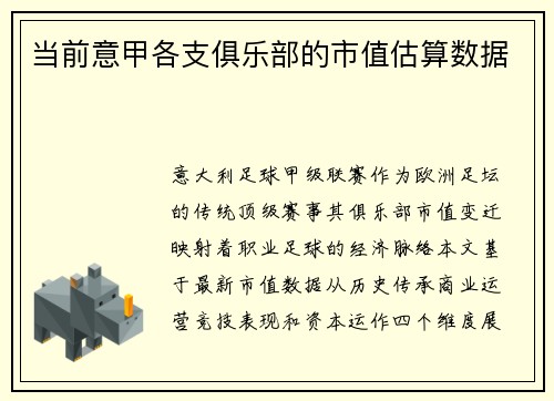当前意甲各支俱乐部的市值估算数据