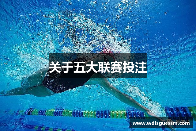 关于五大联赛投注